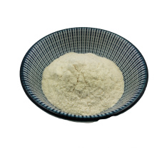 Hot sale of  HACCP ISO22000 cerified probiotic powder lactobacillus powder probiotic Lactobacillus casei